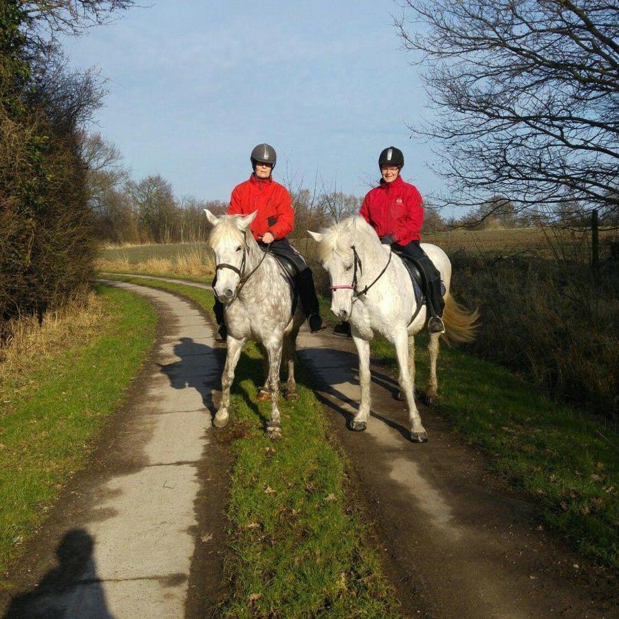 Schoenberg - Schuster Raths Kate Schonberg in Holstein